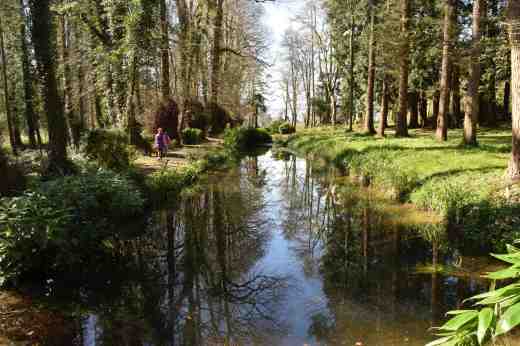 Water and trees in a formal layout makes for beautiful views.