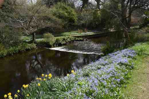 The River Vartry runs through the river, making beautiful views