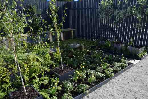 The Contemporary Woodland designed by James Purdy - JP Architects Landscape & Design. The judges (which included me) liked the simple design of this and the way that it could be recreated cheaply and easily and still be a fairly practical garden. The plants were largely native and would work together though a large bed of anemones and daffs would be a bit empty after June. But all in all we liked this
