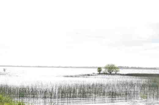 lough ennell 4