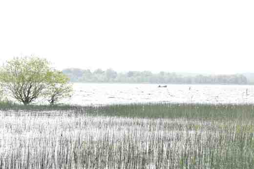 lough ennell 5