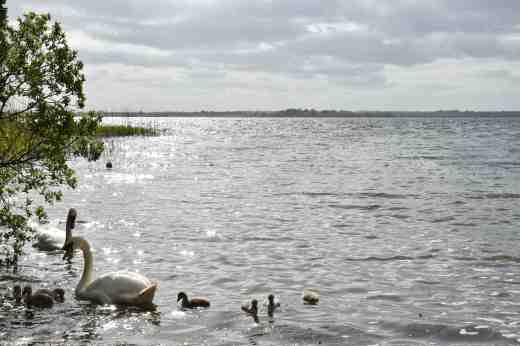 lough ennell