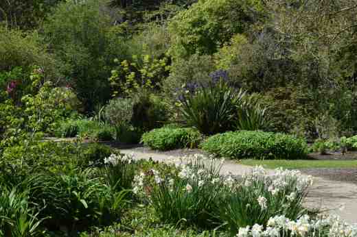 The extensive woodland garden area is packed with interest