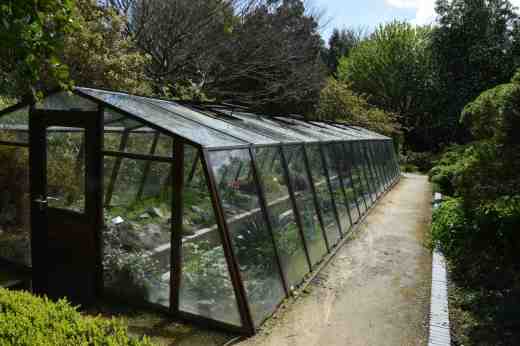 This greenhouse has a sunken path and is planted with Mediterranean plants and others that are hardy but need protection from wet
