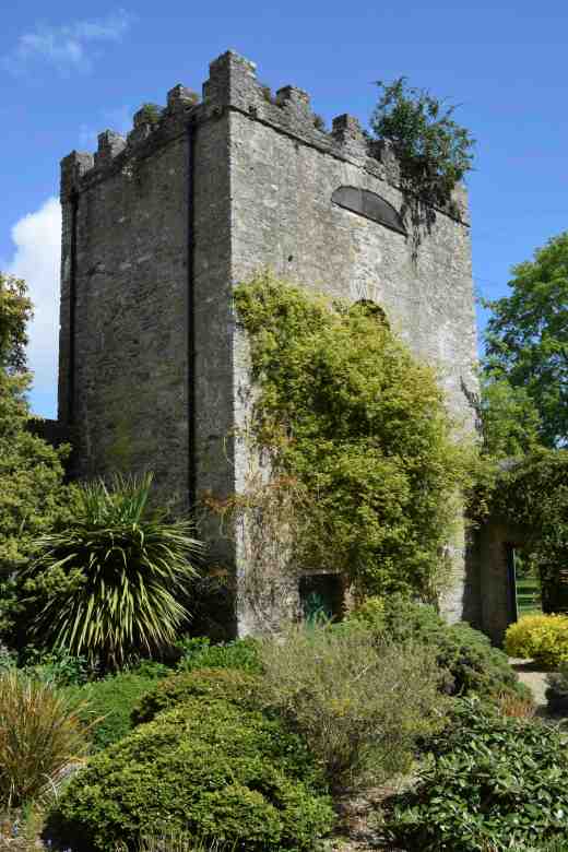 The dovecote seen from the 'Chicken Yard' where there are many tender plants