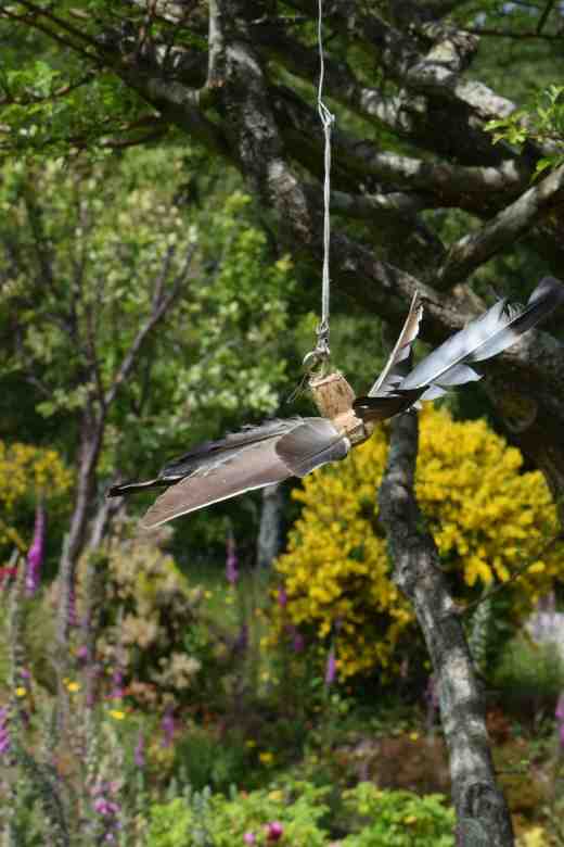 Something to catch the wind