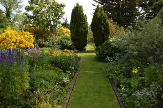 How Merriel found a long flat area in her garden for this lawn is a mystery but it works perfectly