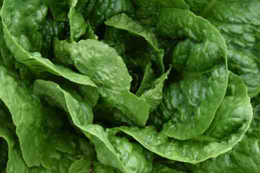 let mortons secret mix3