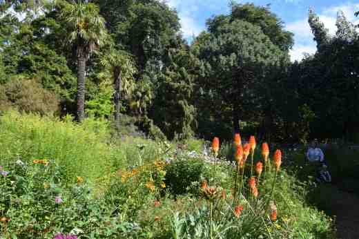 The area planted with wildflowers and naturalised with exotics was looking very colourful with a mix of colours and textures