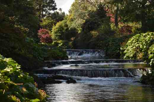 The River Vartry is always the centre of attention