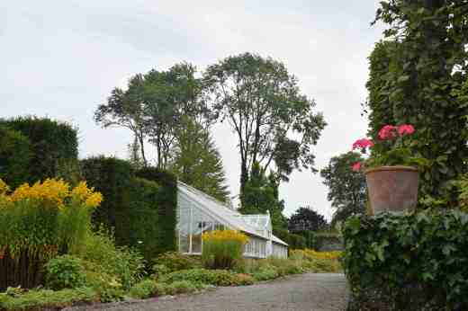 After exploring the acres of woodland grounds and returning to the formal walled garden there are a few greenhouses and the millennium garden 