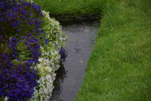 Did I mention the rain?