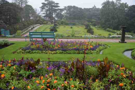 Good to see the bedding was in Wexford's colours!