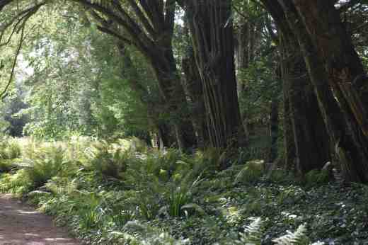 lismore castle lower9