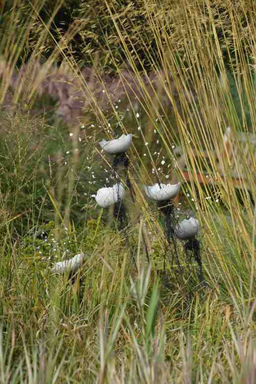 ...I could see these in a garden