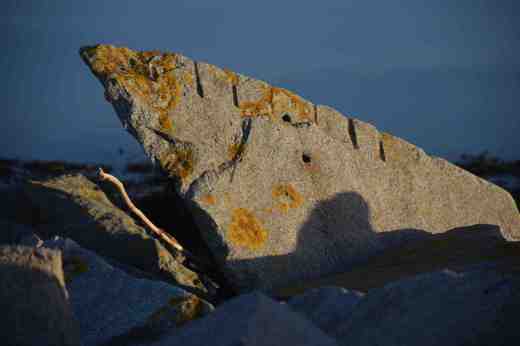 carlingford evening10