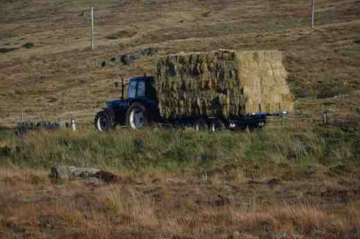 mourne mountains dam6