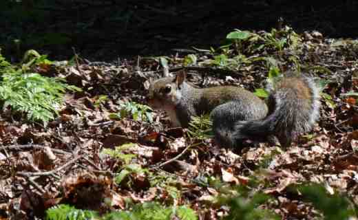 'What 'you looking at?'