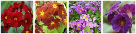 e8b6ef28-c2b0-4d83-805b-c51a262569e0