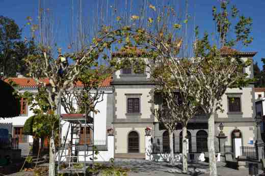 Looking towards the Casa Consistorial with a gardener pruning the plane trees