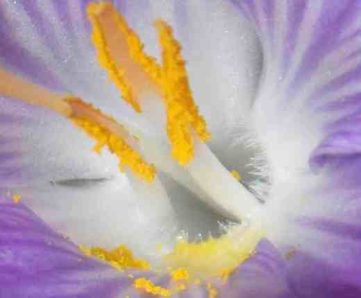 macro monday march 12