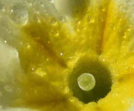 macro monday march 21