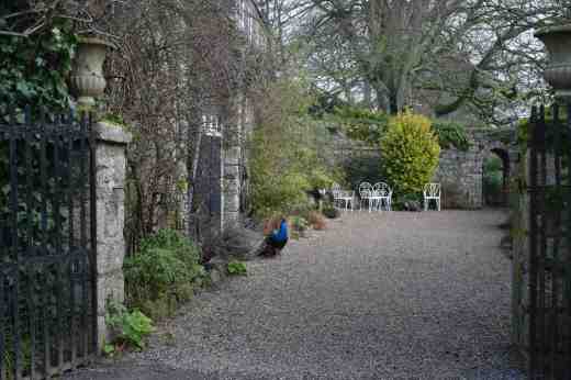 altamont macro2 copy