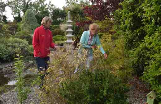 Iris and Elaine from Springmount  Garden Centre