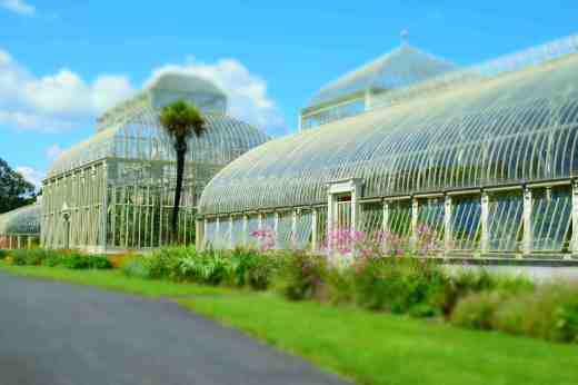 ireland reflections16