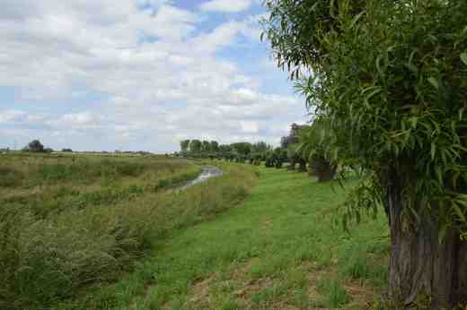 THorney June 1617