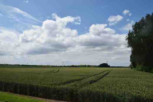 THorney June 169