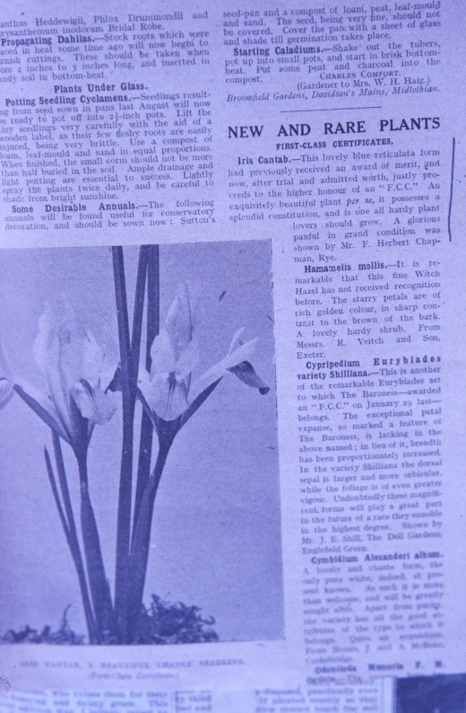 myddelton iris cantab