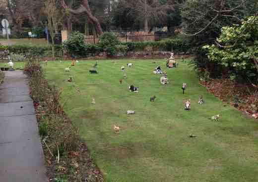 oulton-broad-dec-2016