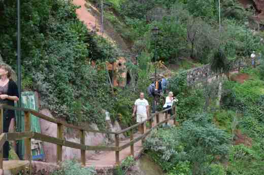 barranco-de-guayadeque-8