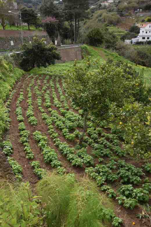 ermita-del-corazon-de-jesus-los-arbejales4