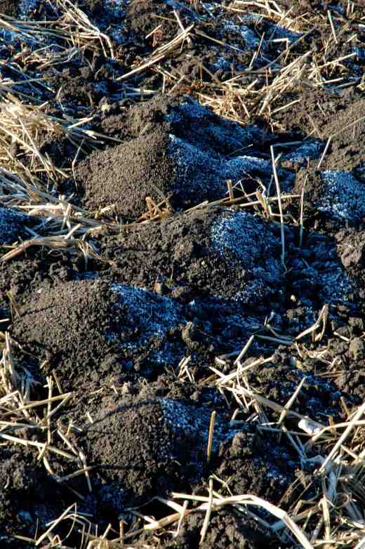 soil-frosted-2-06-copy